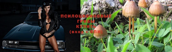ешки Абинск