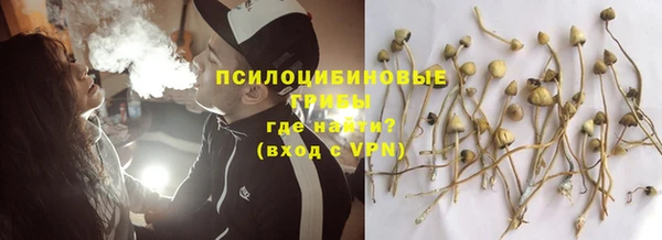 дживик Абаза