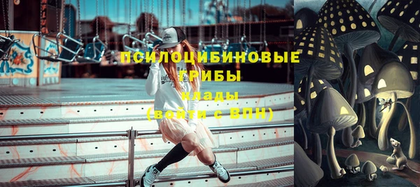 дживик Абаза