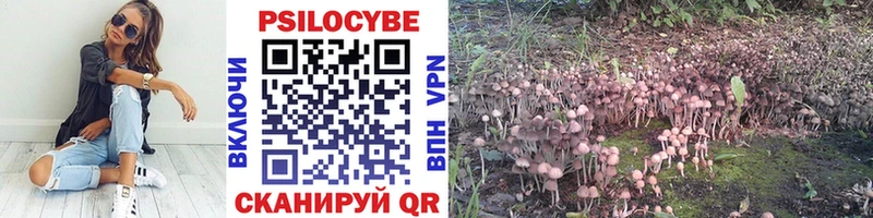 Псилоцибиновые грибы мухоморы купить наркоту Ржев