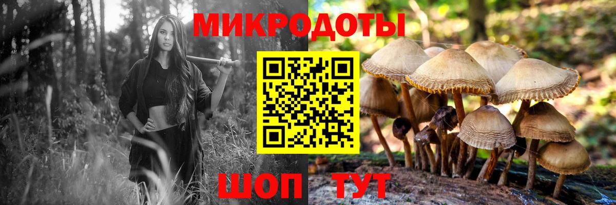 Псилоцибиновые грибы ЛСД Ржев